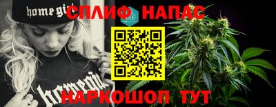 гашик Ярославль