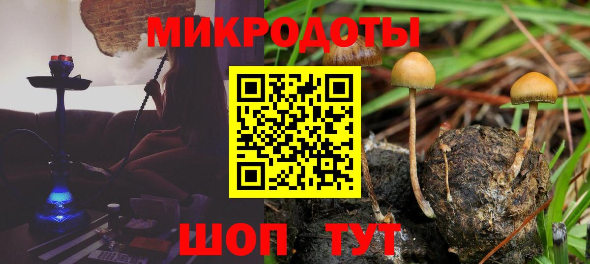 Галлюциногенные грибы Magic Shrooms Боровичи