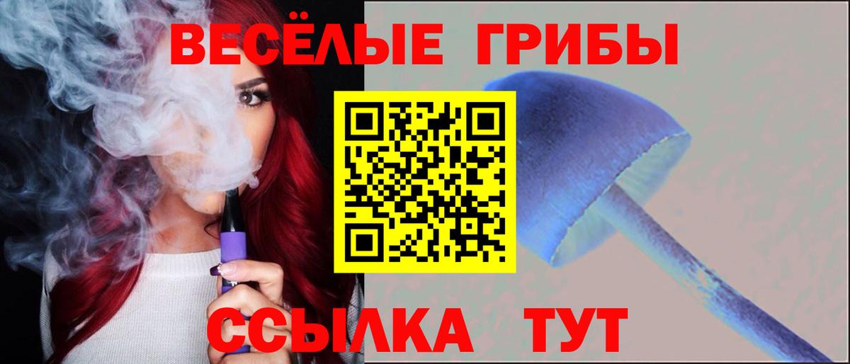 Боровичи  Псилоцибиновые грибы Magic Shrooms  Вход с VPN 